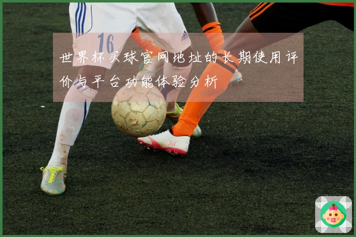 世界杯买球官网地址的长期使用评价与平台功能体验分析