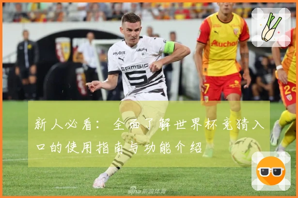 新人必看：全面了解世界杯竞猜入口的使用指南与功能介绍