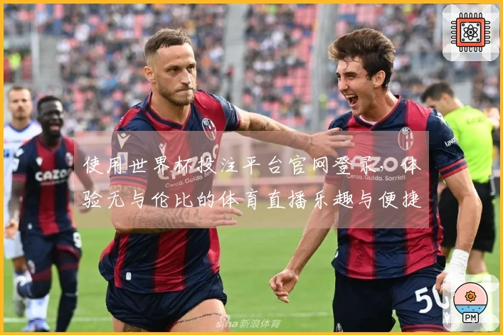 使用世界杯投注平台官网登录，体验无与伦比的体育直播乐趣与便捷功能