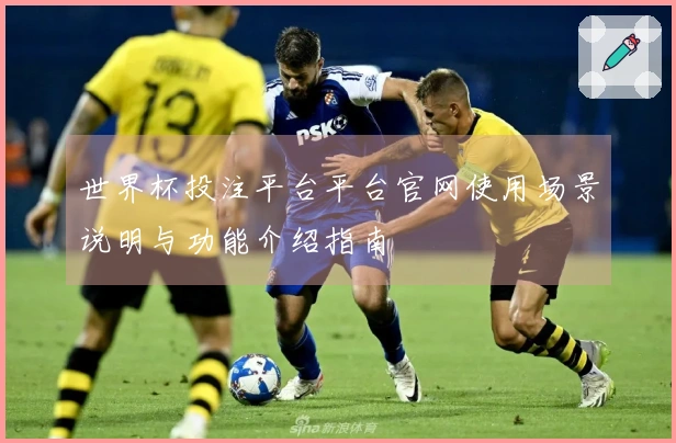 世界杯投注平台平台官网使用场景说明与功能介绍指南