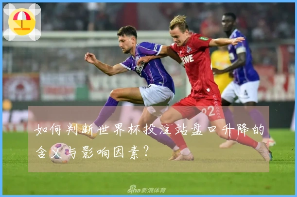 如何判断世界杯投注站盘口升降的含义与影响因素？