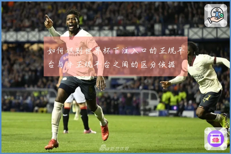 如何识别世界杯下注入口的正规平台与非正规平台之间的区分依据