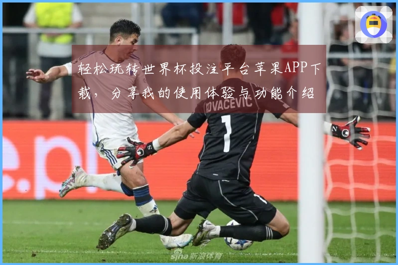 轻松玩转世界杯投注平台苹果APP下载，分享我的使用体验与功能介绍