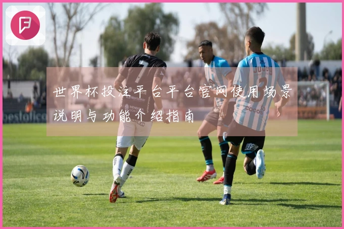 世界杯投注平台平台官网使用场景说明与功能介绍指南