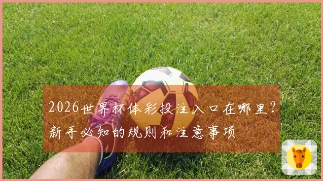 2026世界杯体彩投注入口在哪里？新手必知的规则和注意事项