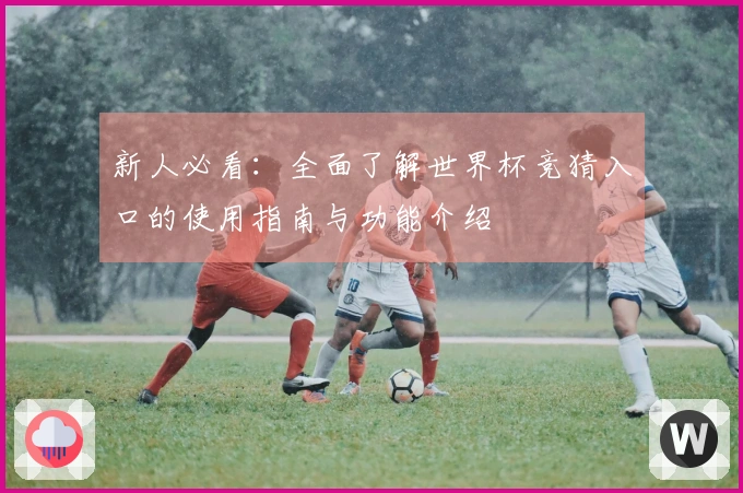 新人必看：全面了解世界杯竞猜入口的使用指南与功能介绍